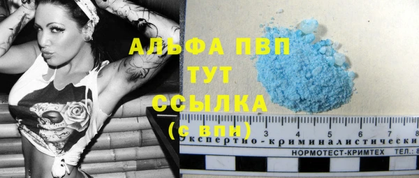 сатива Сосновый Бор