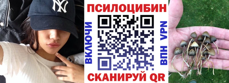 Галлюциногенные грибы Psilocybine cubensis  mega зеркало  Ковдор  купить наркотик 